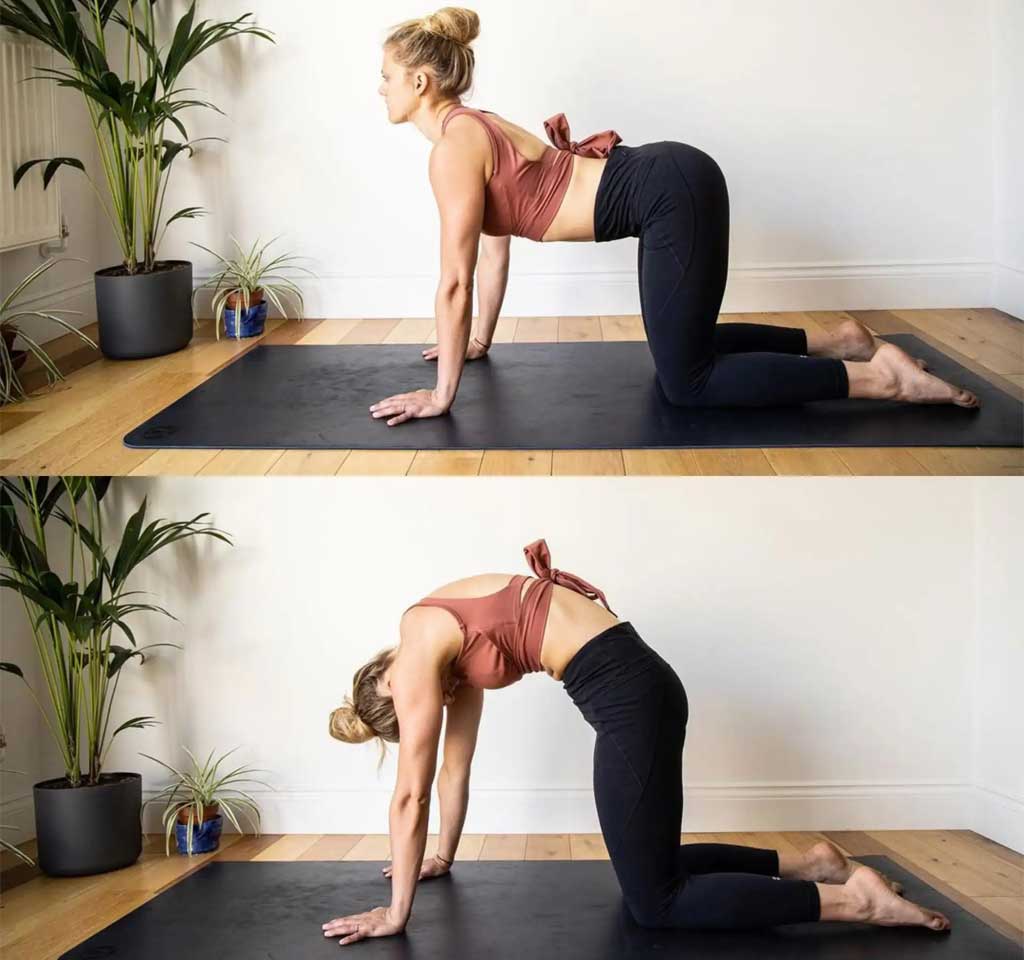 10 Effective yoga poses for back pain - Alakhyog